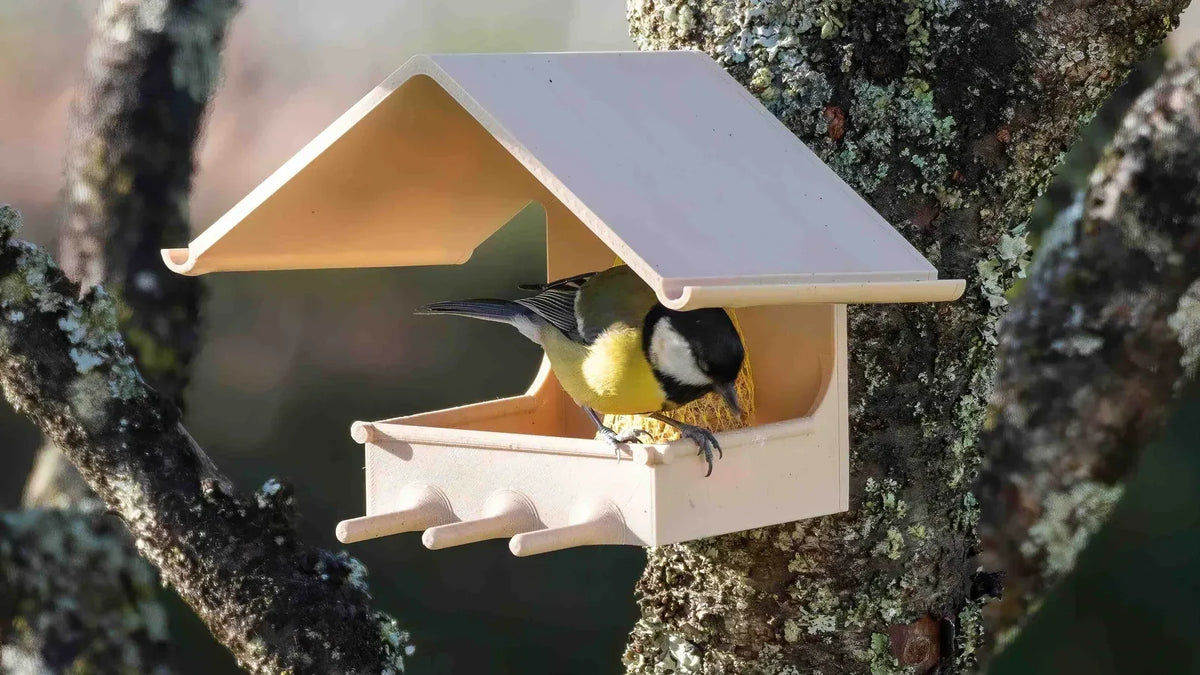 Comedero para pájaros impreso en 3D colgado del tronco de un árbol, con un carbonero comiendo dentro: una pieza impresa que vive en el exterior